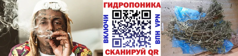 Бошки марихуана сатива Лаишево